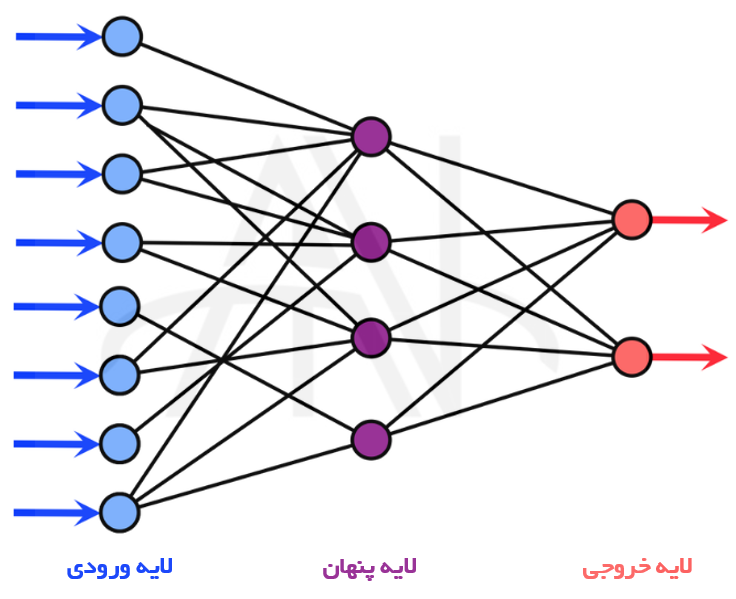 شبکه عصبی